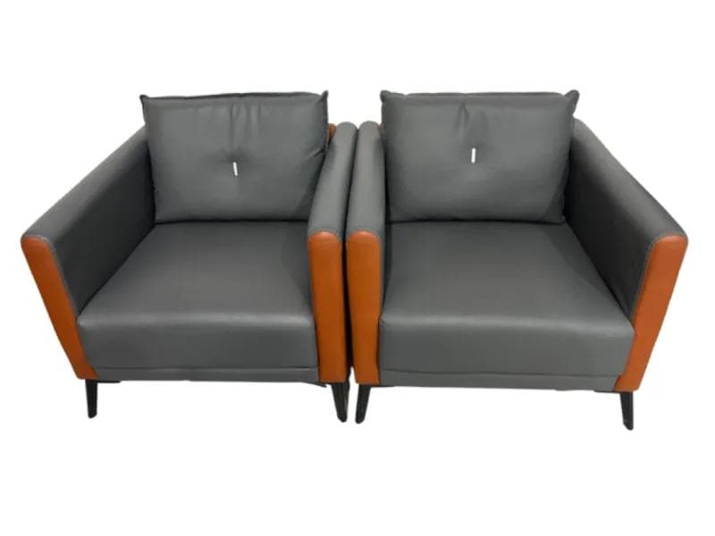 2 PIECE LEATHER SINGLE SOFA